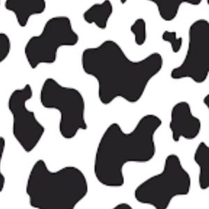 Meet your Posher, Lucy